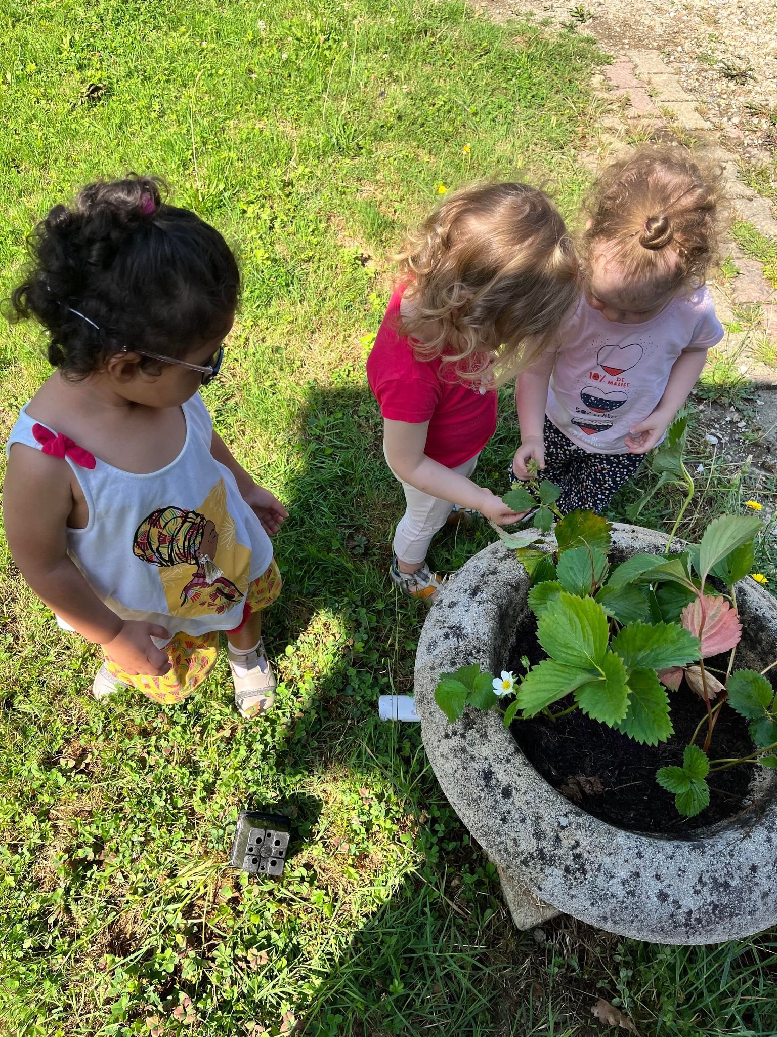Jardin pédagogique en micro crèche dans le 82